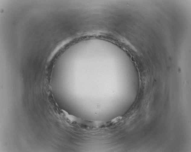 X0000078311256200611251525