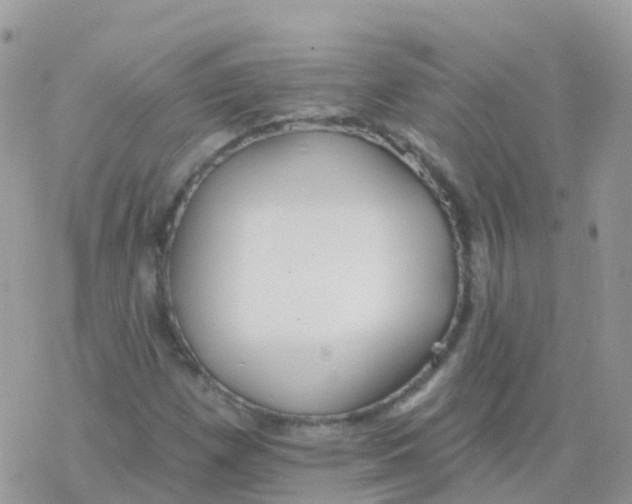 X0000078311257200611251525