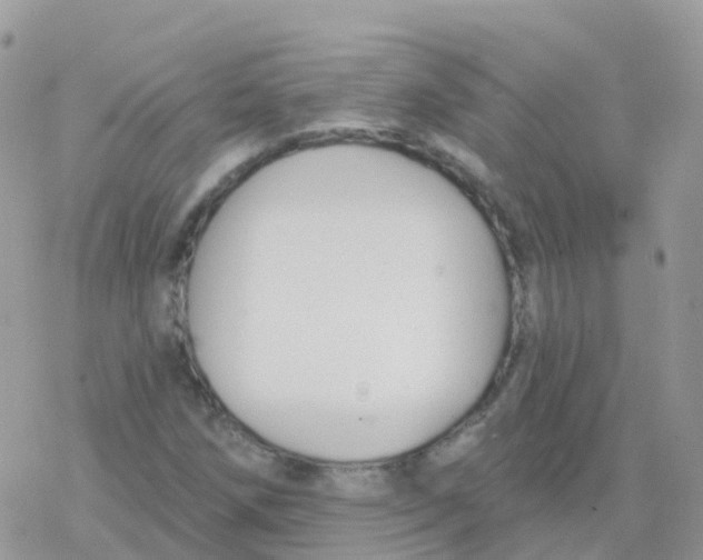 X0000078311258200611251525