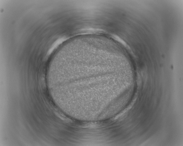 X0000078311259200611251524