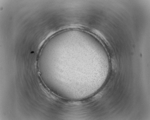 X0000078311260200611251524