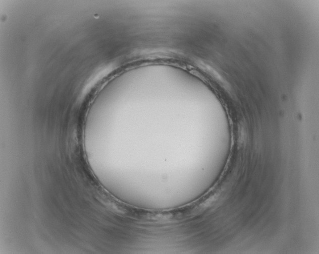 X0000078311261200611251524