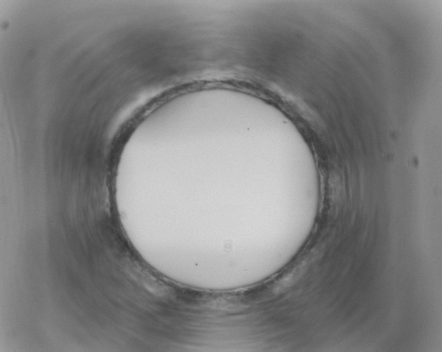 X0000078311262200611251524