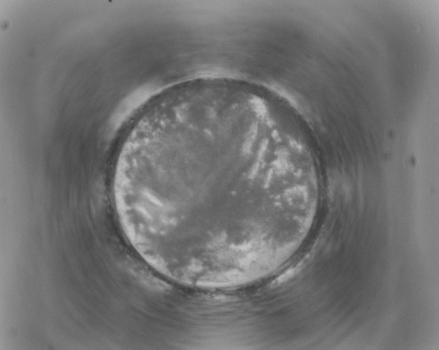 X0000078311263200611251524