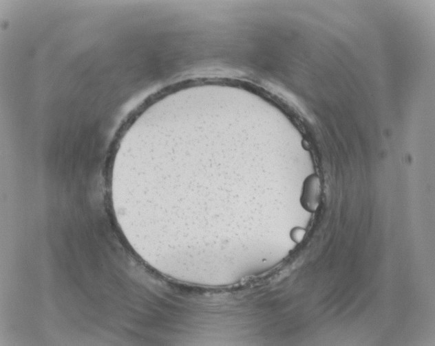 X0000078311264200611251524