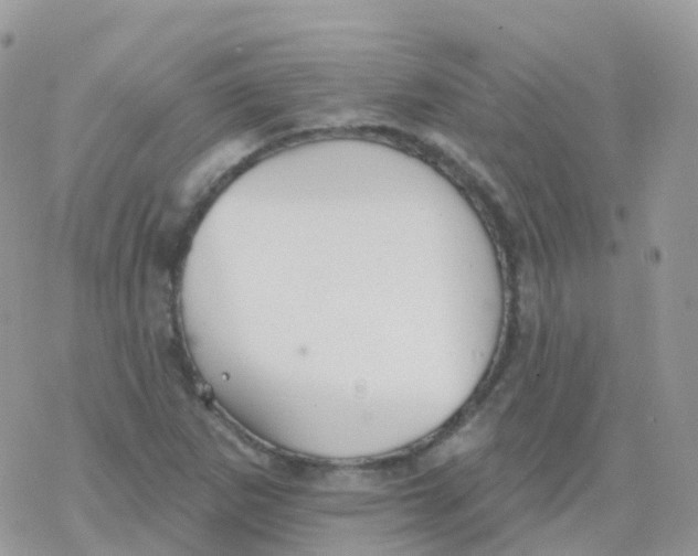 X0000078311265200611251524