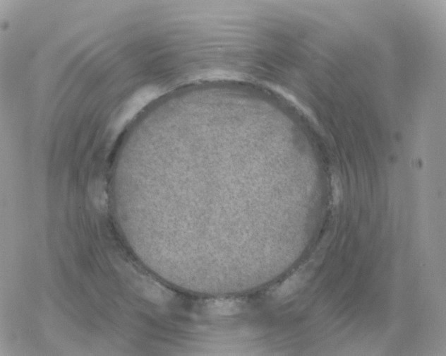 X0000078311266200611251524