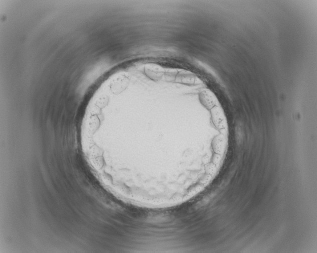 X0000078311267200611251524