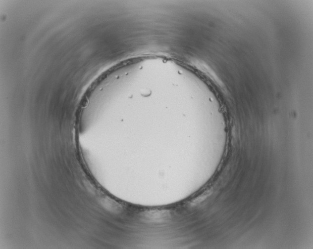 X0000078311268200611251524