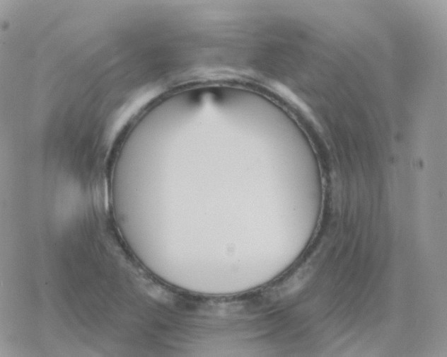 X0000078311269200611251524