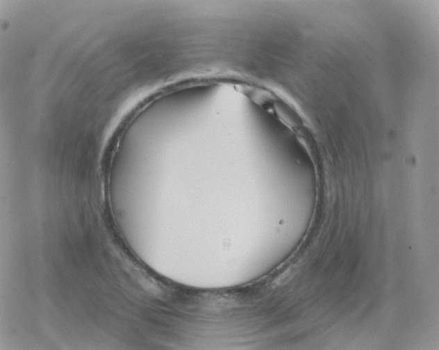 X0000078311270200611251524