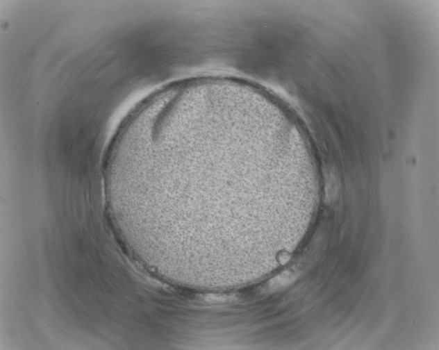 X0000078311271200611251524