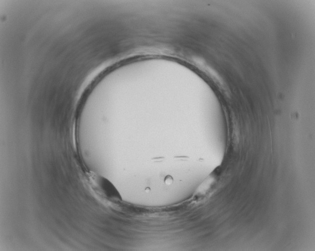 X0000078311272200611251524