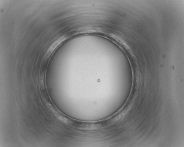 X0000078311273200611251524