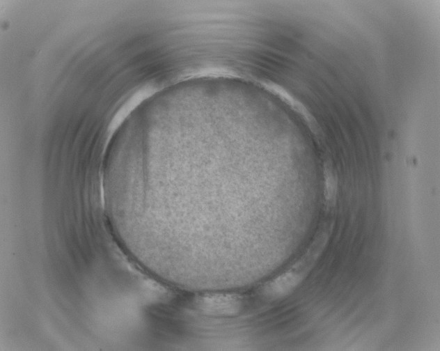 X0000078311274200611251524