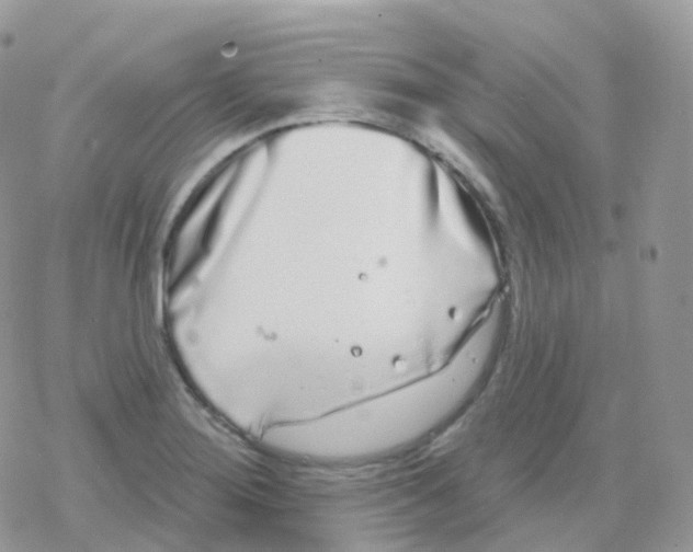 X0000078311276200611251524