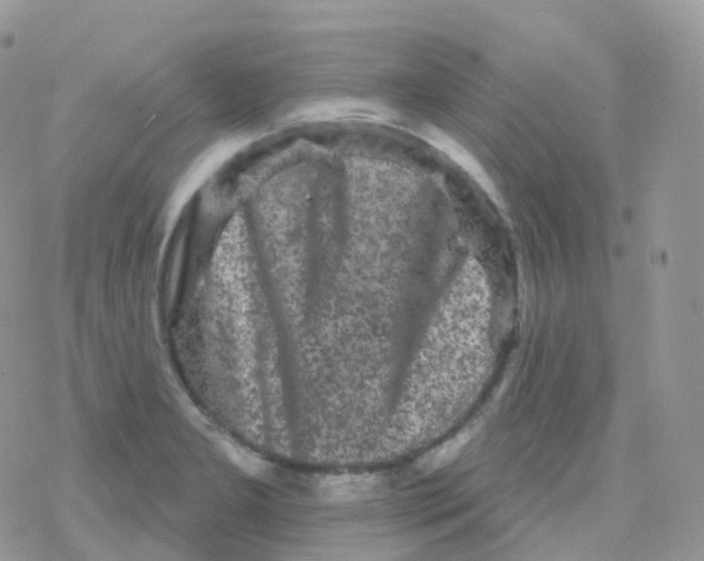 X0000078311277200611251524