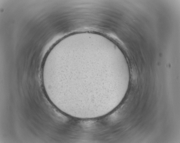 X0000078311278200611251524