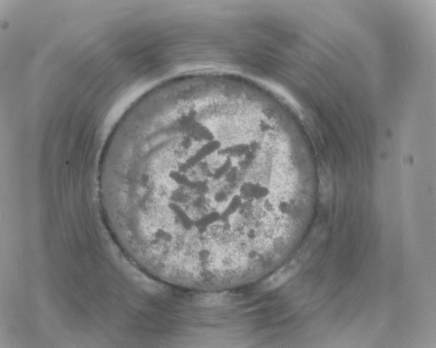 X0000078311279200611251524