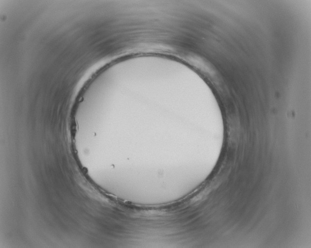 X0000078311280200611251524