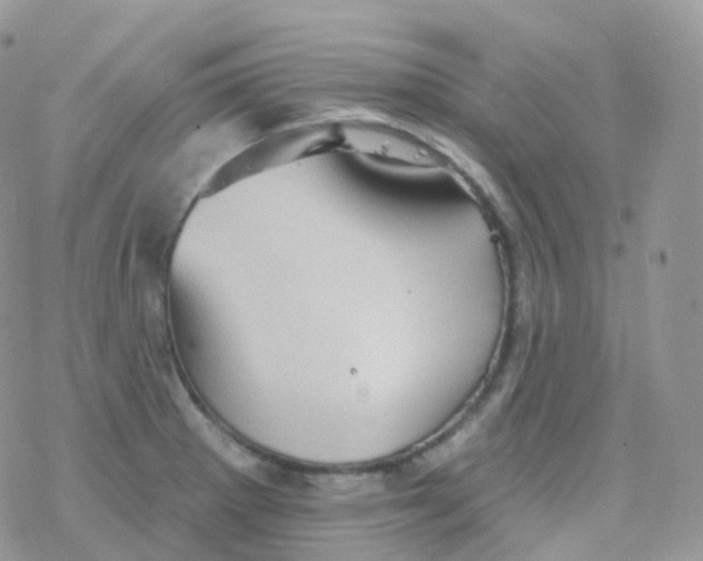 X0000078311281200611251524