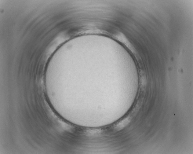 X0000078311282200611251524