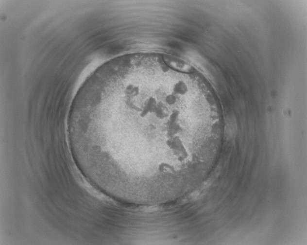 X0000078311283200611251524