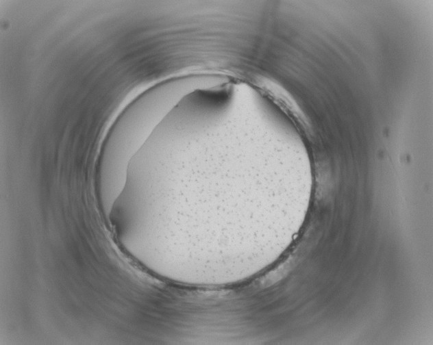 X0000078311284200611251524