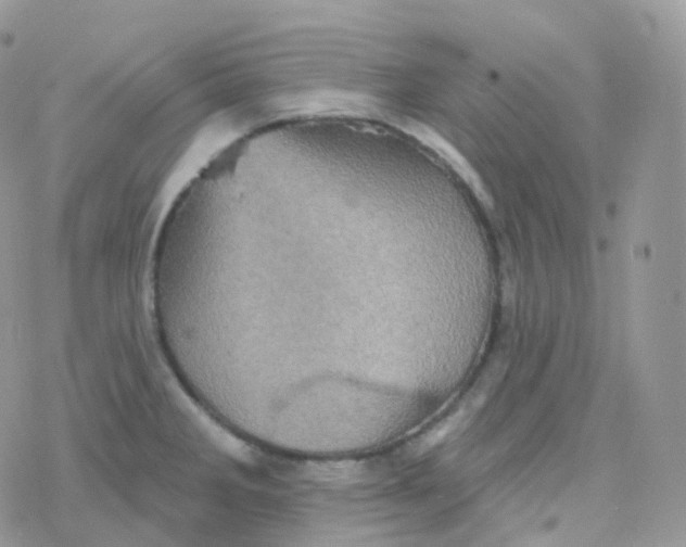 X0000078311285200611251524