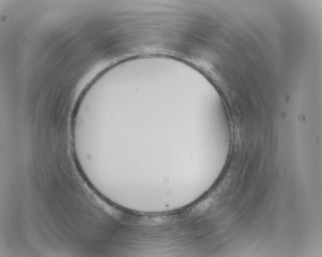 X0000078311286200611251524