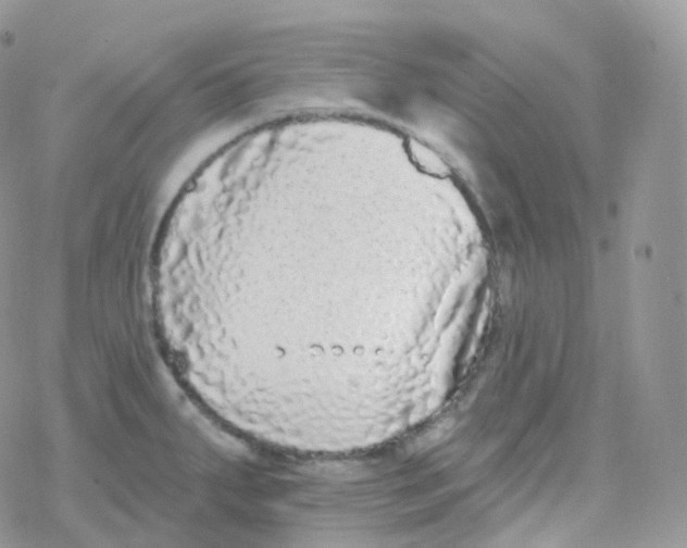 X0000078311287200611251524