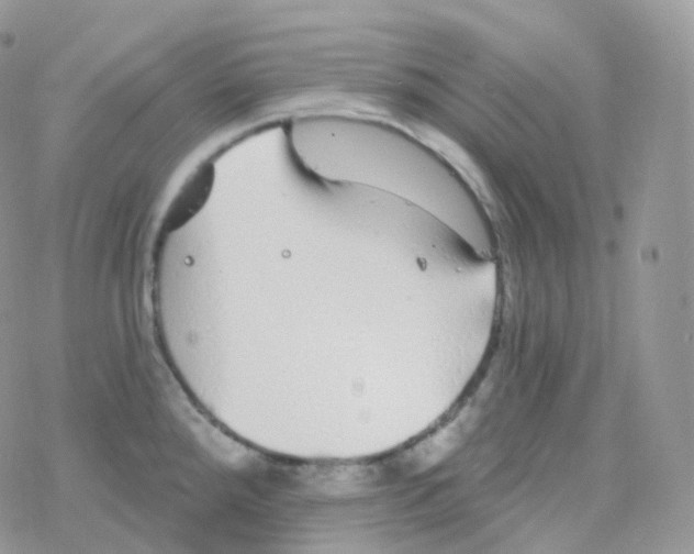 X0000078311288200611251524