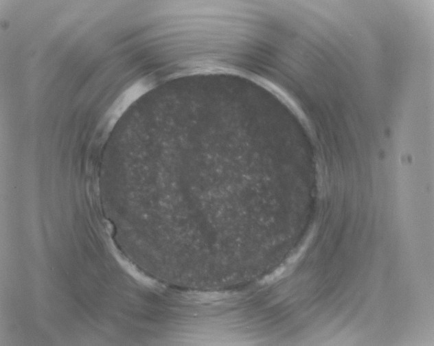 X0000078311289200611251524