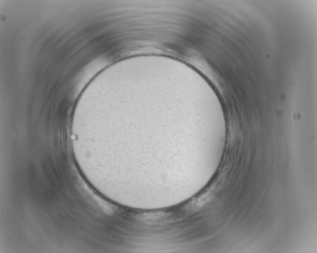 X0000078311290200611251524