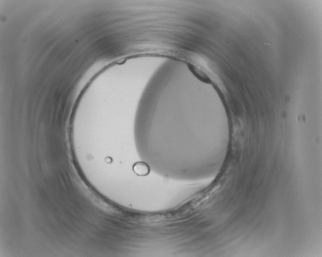 X0000078311291200611251524