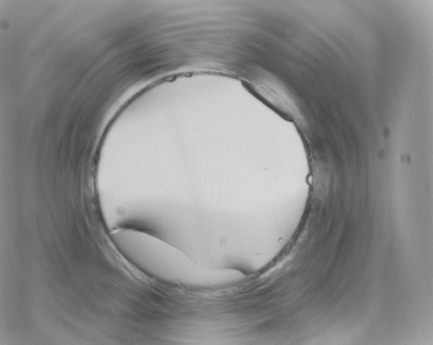 X0000078311292200611251524