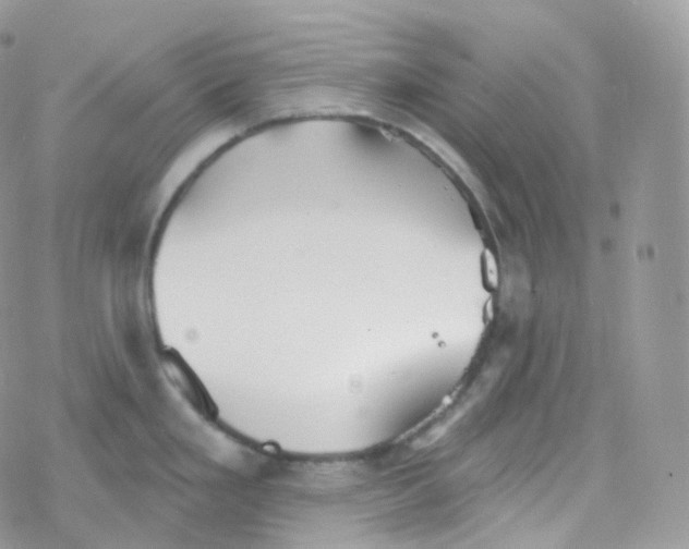 X0000078311293200611251524