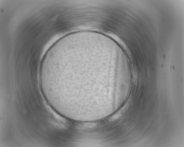 X0000078311294200611251524