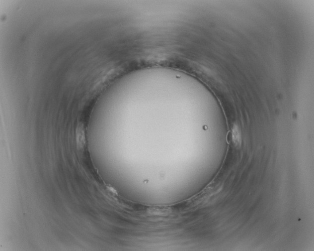 X0000078311299200611251523