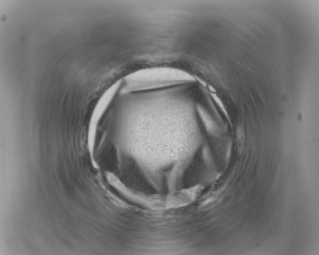 X0000078311300200611251523