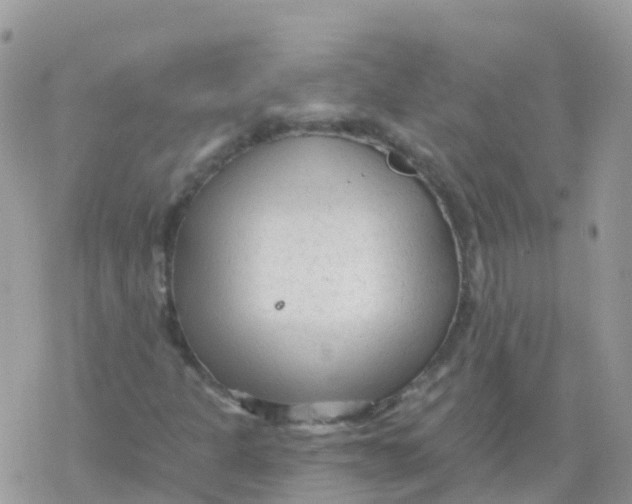 X0000078311301200611251523