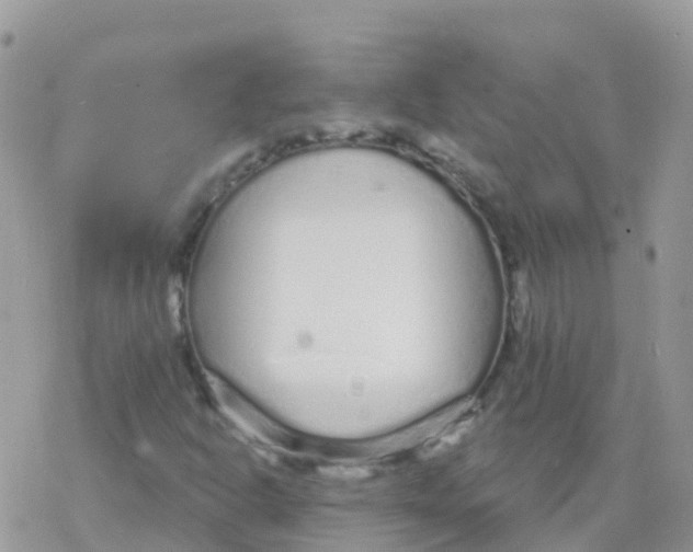 X0000078311302200611251523