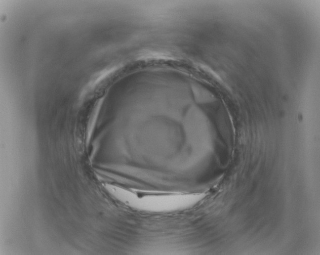 X0000078311303200611251523