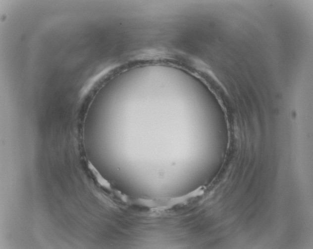 X0000078311304200611251523