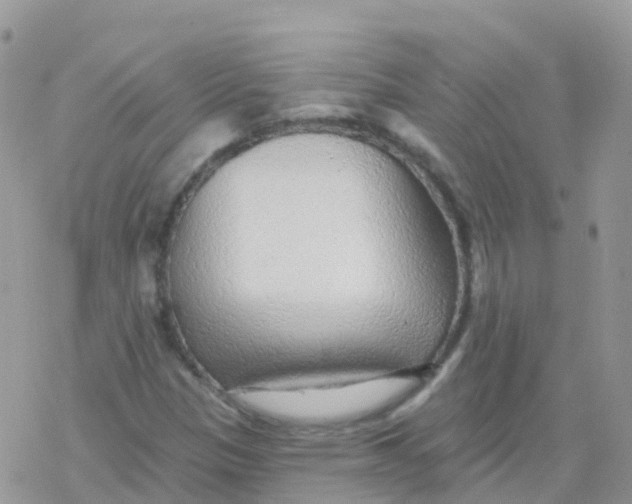 X0000078311305200611251523