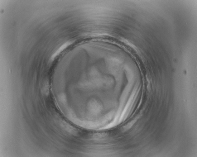 X0000078311306200611251523