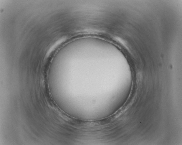 X0000078311307200611251523