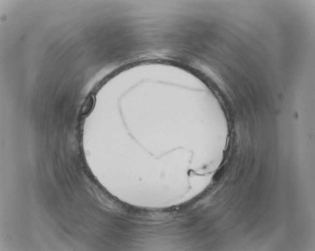 X0000078311308200611251523