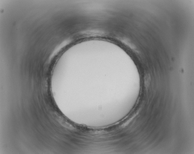 X0000078311309200611251523