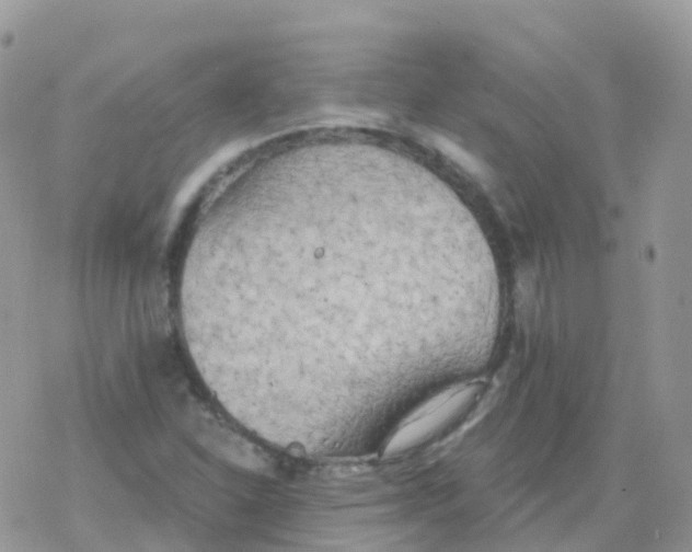 X0000078311310200611251523